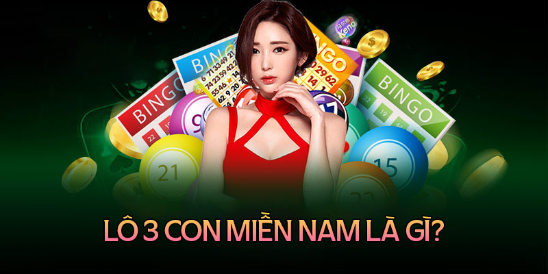 Lô 3 con miền Nam là gì?